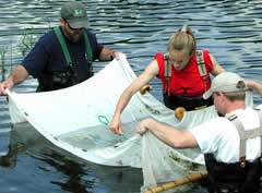 Seine samples are taken