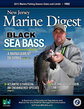 Marine Digest Cover