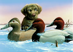 2005 NJ Waterfowl Stamp