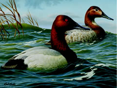 2008 NJ Waterfowl Stamp