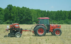 Planting warm season grasses