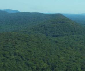 NJ Bear habitat