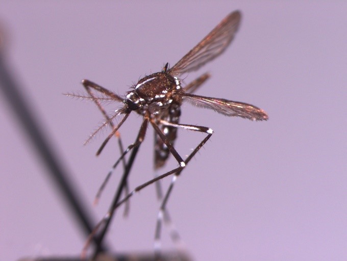 New Jersey State Mosquito Control Commission