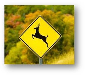 image of deer crossing sign
