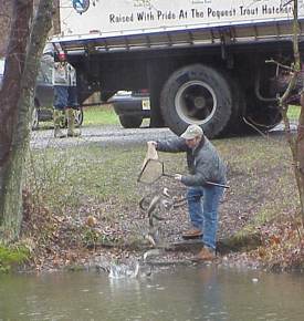 DEP Commissioner Bradley M. Campbell tosses trout Friday into the Delaware & Raritan Canal at Alexander Road in Princeton Township in preparation for Saturday's opening day of trout season. 