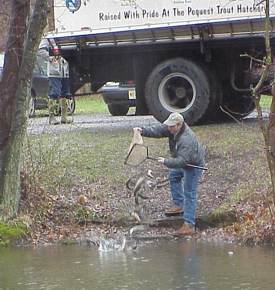 DEP Commissioner Bradley M. Campbell tosses trout Friday into the Delaware & Raritan Canal at Alexander Road in Princeton Township in preparation for Saturday's opening day of trout season.