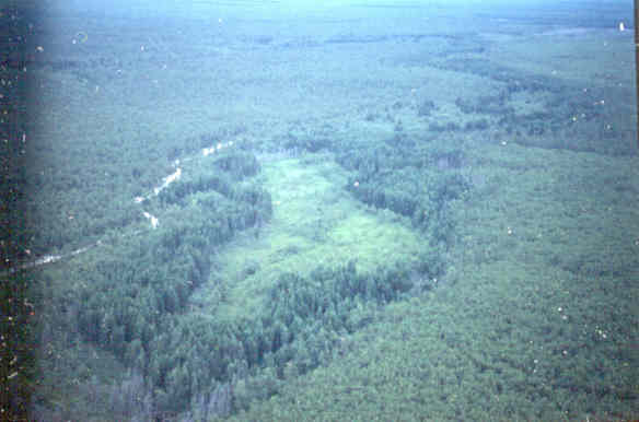 Aerial image of the site above with a southern view.