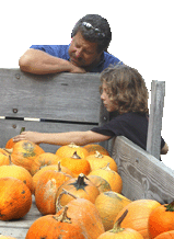 Fall Forestry Festival