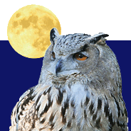 Full Moon