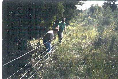 Adjustment of the fence line