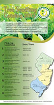 2013 Seedling Catalog