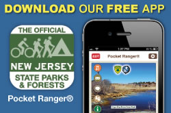 Download our free app