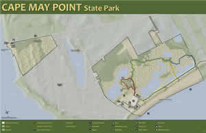 Cape May Point Area Map