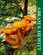 photo of: abram s. hewitt state forest