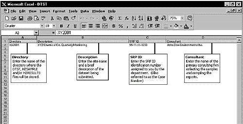 Example of DTST.WK1 Worksheet Screen