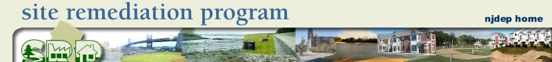 Site Remediation Program