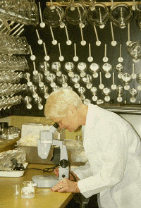 lab