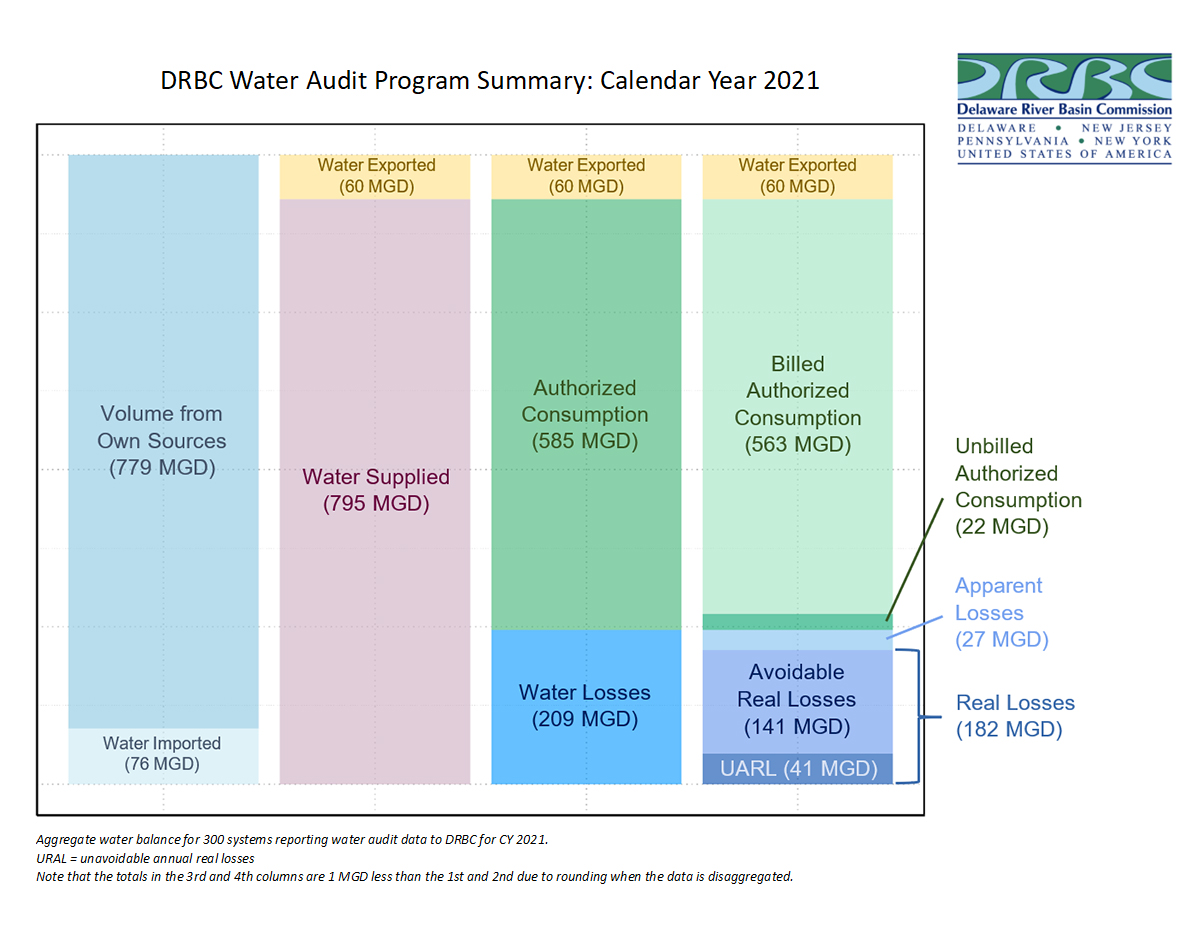 DRBC Water Audit Program Summary: Calendar Year 2021
