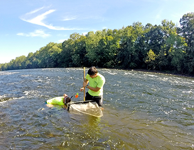 DRBC staff perform biological monitoring of the Delaware River. Photo by DRBC.