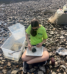 DRBC staff collect a periphyton sample as part of its biomonitoring program. Photo by DRBC.