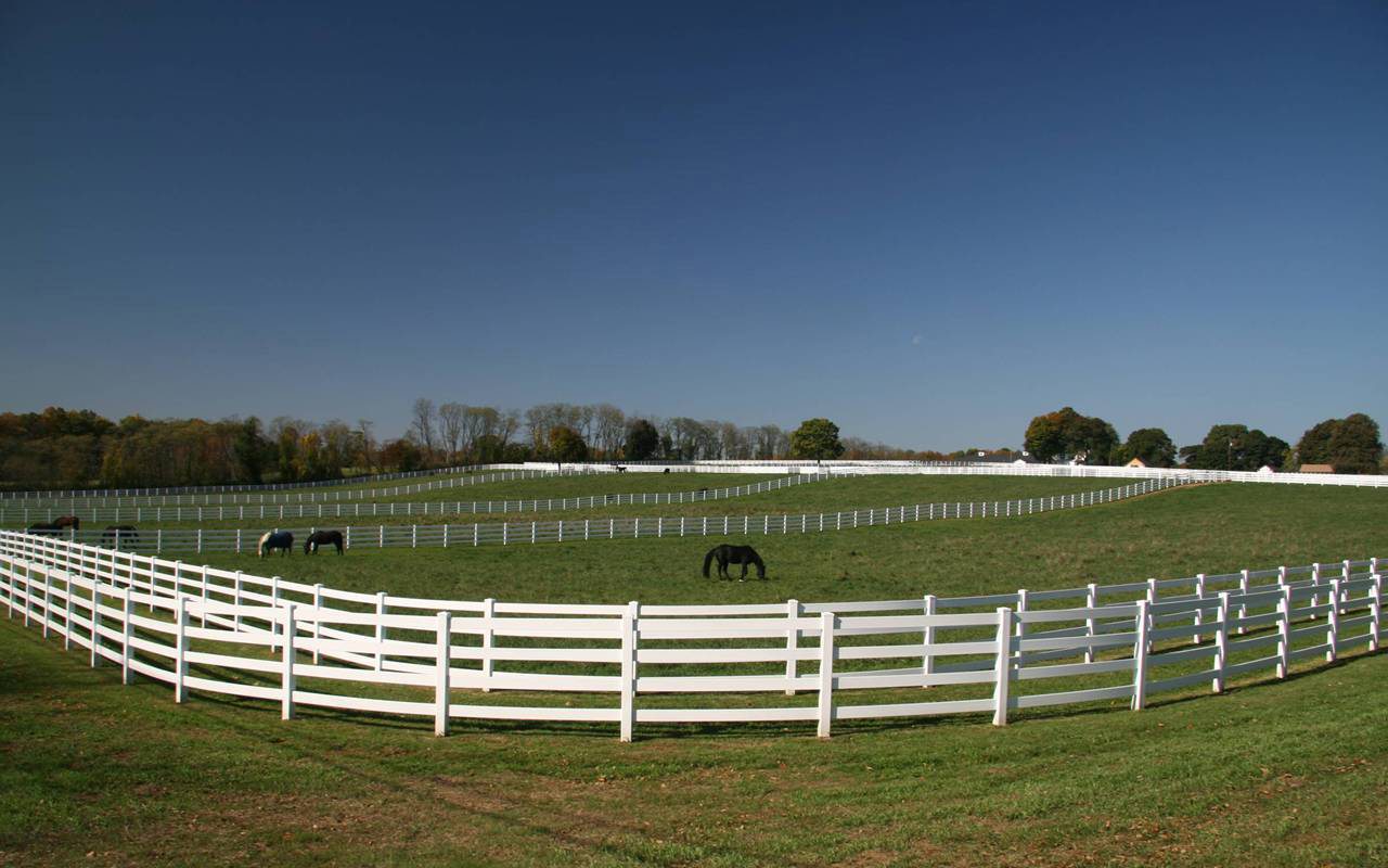 Horse pastures at Tranquility Farm