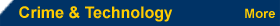 Crime and Technology
