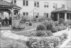 Garden in bloom