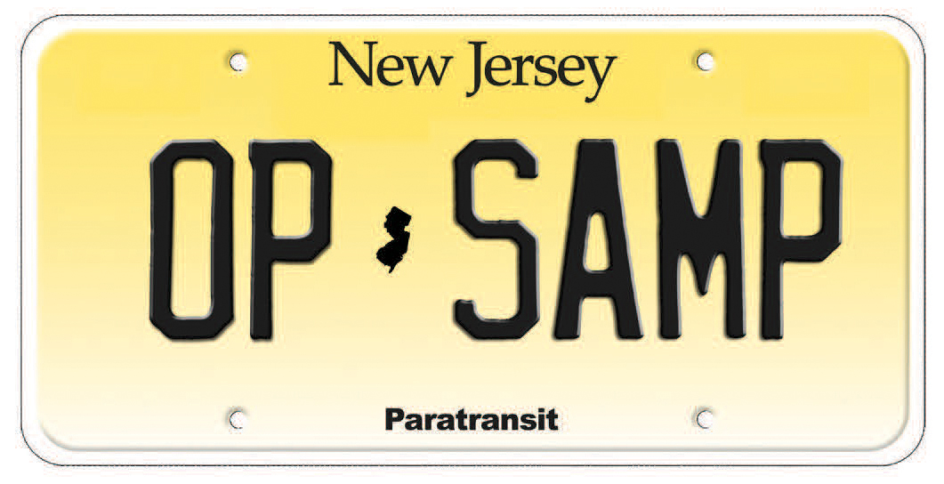 paratransit