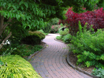 Winding brick path through the Arboretum