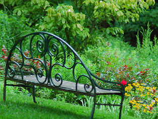 Iron bench overlooking a flower path