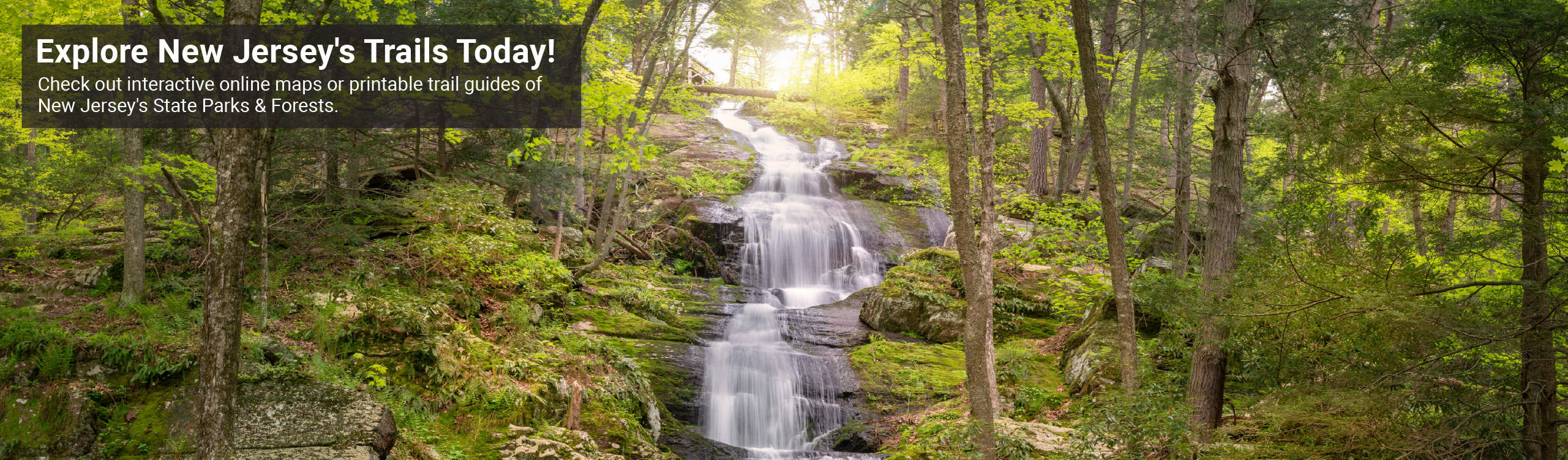 photo of waterfall in the woods - Check out interactive online maps or printable trail guides of New Jersey's State Parks & Forests.