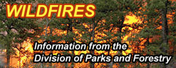 Wildfires