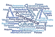 cultural competence continuum