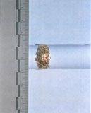 (Click for larger view)