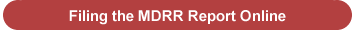 Filing the 2008 MDRR Report
