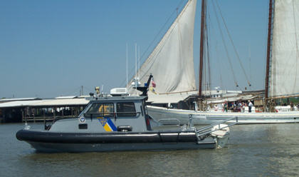 28' SeaArk Dauntless Ram