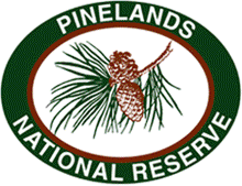 Pinelands images