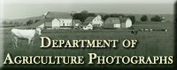 Department of Agriculture Photographs Database