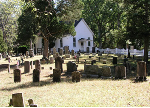 Southern Pinelands Natural Heritage Trail image
