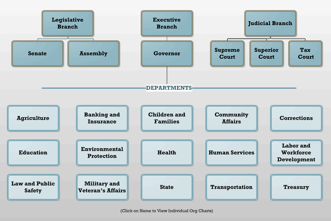 State Government Flow Chart