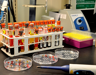 The Serology Section processes thousands of equine serum samples every year to test for equine infectious anemia (EIA) via  the agarose gel immunodiffusion (AGID) assay.  This test, also known as the “Coggins Test” is the official test procedure for 