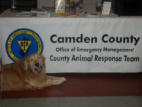 Animal Emergency | Camden County CART