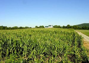 Farmland