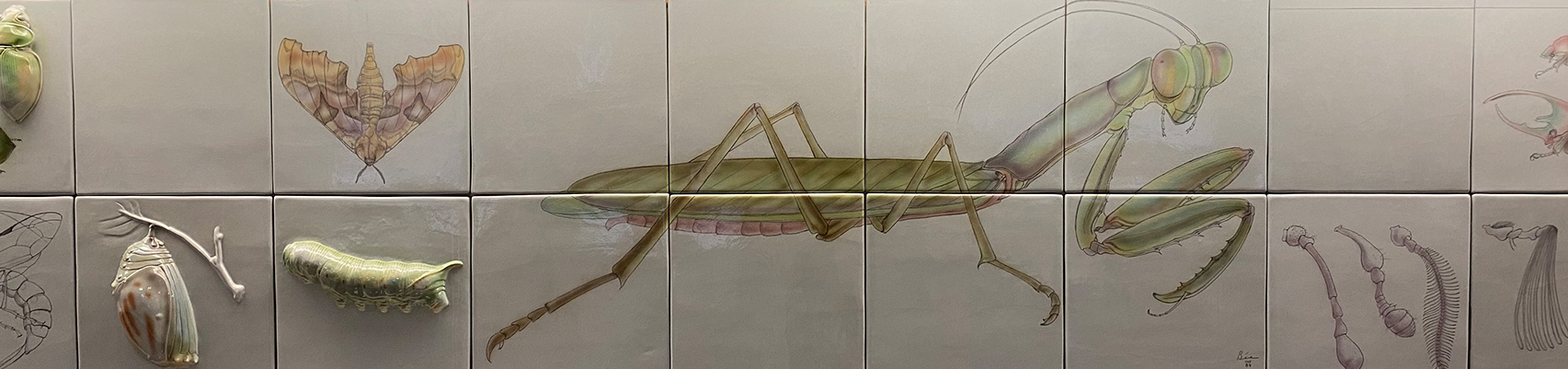 Mural on wall with a large image of a Praying Mantis