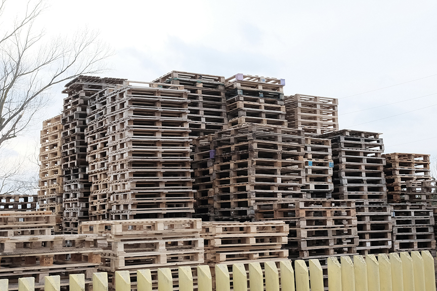 Photo of wooden pallets - a regulated article