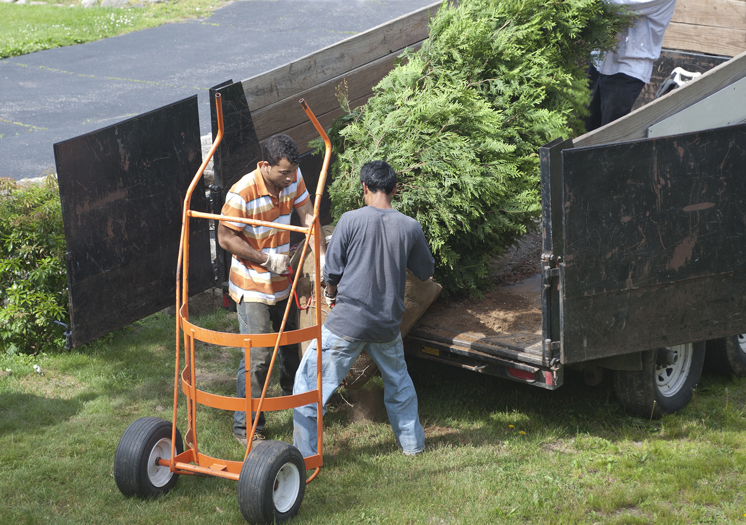 Photo of vehicle pulled trailer- a regulated article