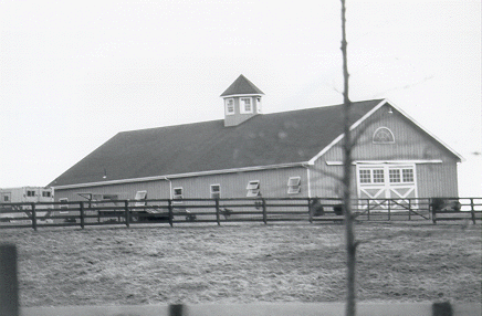 Horse Riding Arena