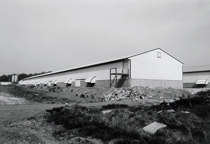 Poultry Barn