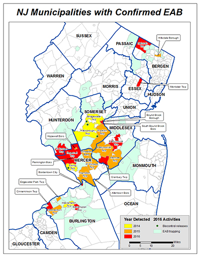 Image of EAB Risk Map