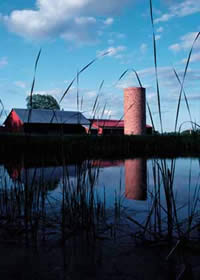 Farm Reflection in Pond